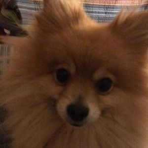 Meet your Posher, Catherine